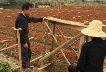 油茶苗育苗前的准备工? />
</div>
<div id=